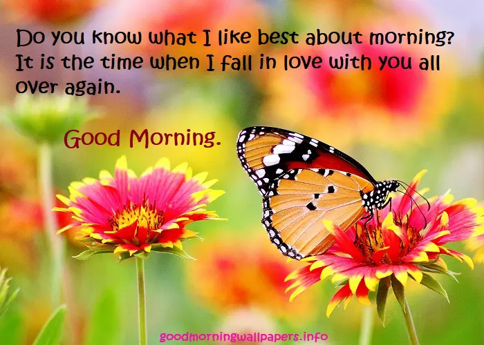 Good Morning Images with Quotes HD