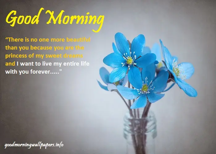 Good Morning Messages For Girlfriend in English