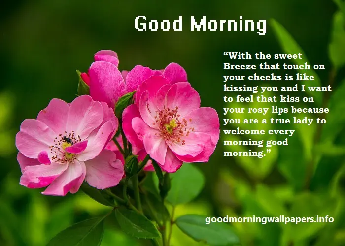 Good Morning Messages For Someone Special