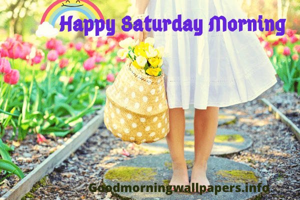 Happy Saturday Morning Image Wallpaper Free Download