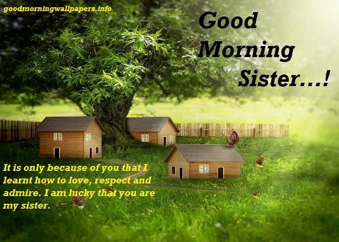 Good Morning Sister Quotes