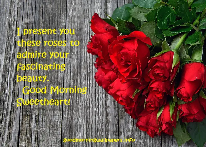 Good Morning With Red Rose And Quotes