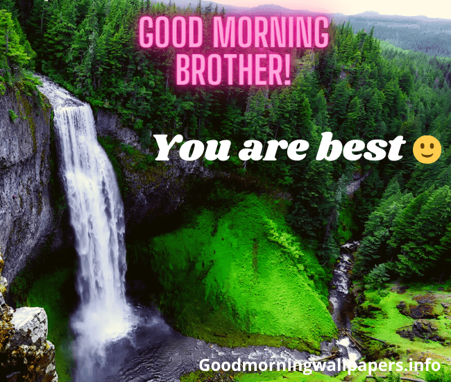 Good Morning Quotes for Younger Brother Love You Good Morning Brother Image