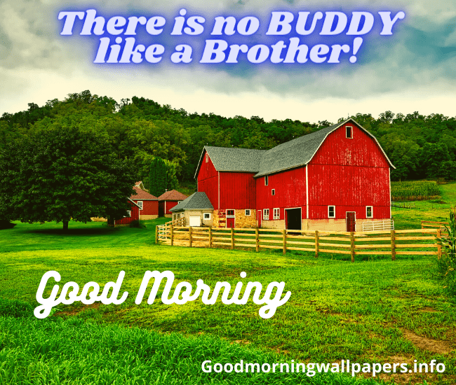 Good Morning Quotes for Younger Brother