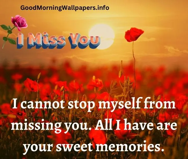 I Miss You Quotes For Her