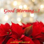 {Latest} Good Morning Poster Free Download {HD Images Quotes}