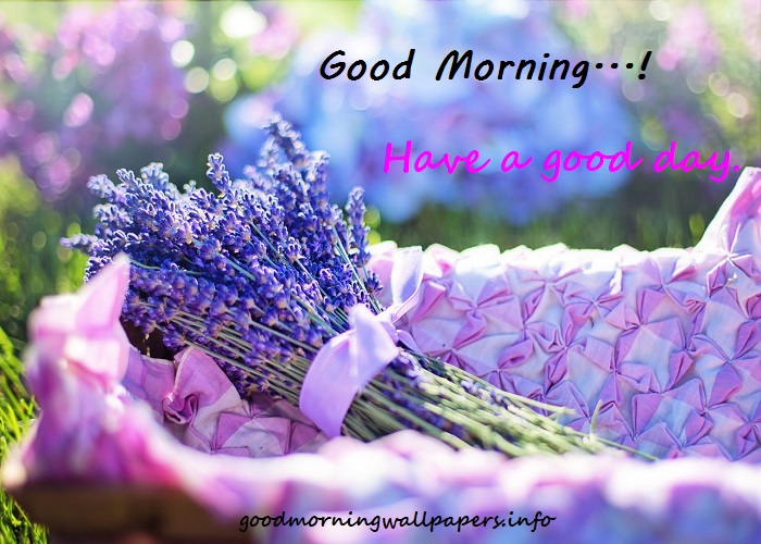 Good Morning Images with Purple Flowers