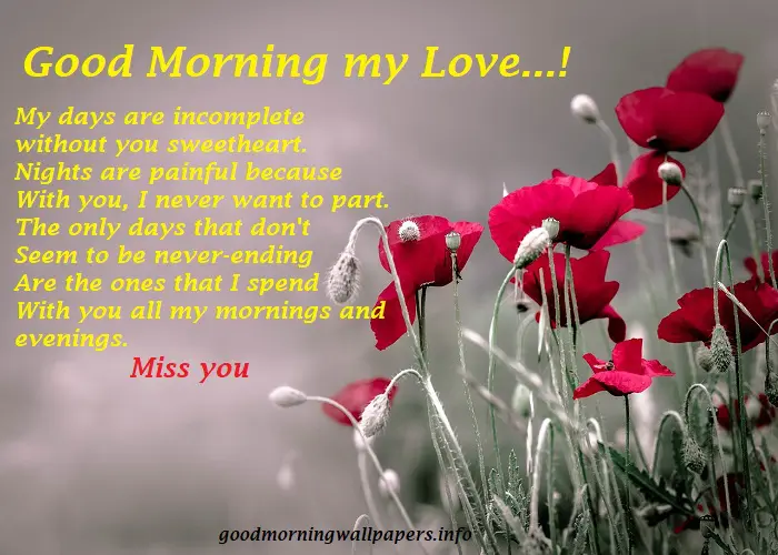 Good Morning Love Poems
