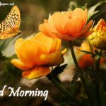Good Morning Pictures 2023 {Download Latest HD Collection}