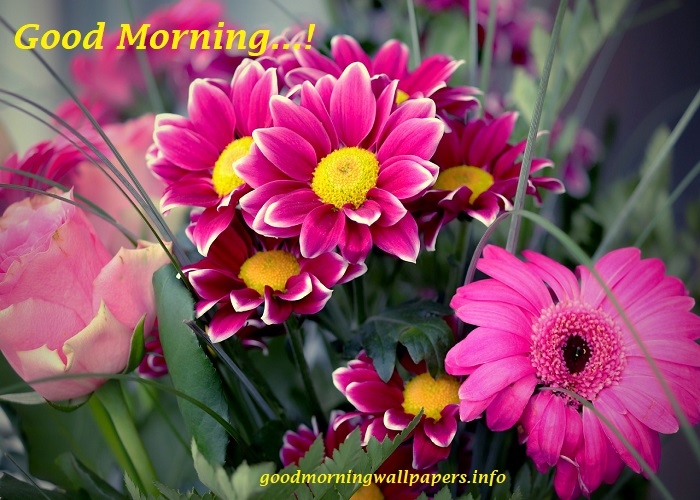 Latest Good Morning Poster Free Download