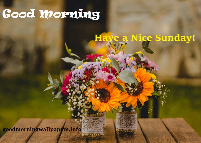 50 Beautiful Good Morning Happy Sunday Images Pictures Photos For Whatsapp