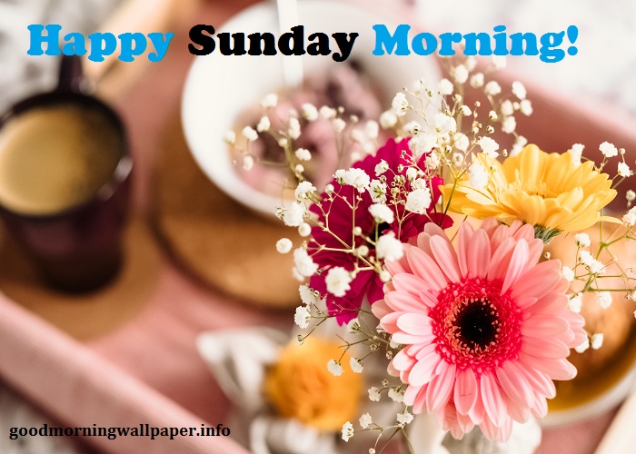 Happy Sunday Quotes and Greetings  Love country sunday HD wallpaper   Pxfuel