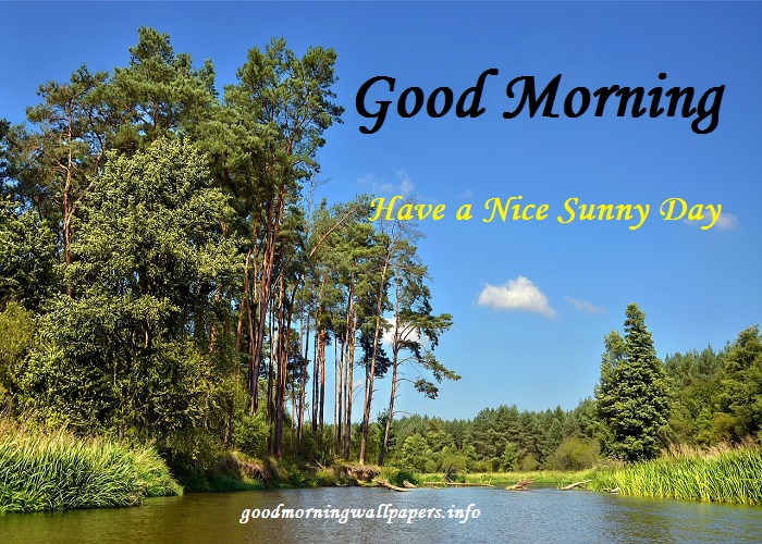 Good Morning 4k HD Images HD