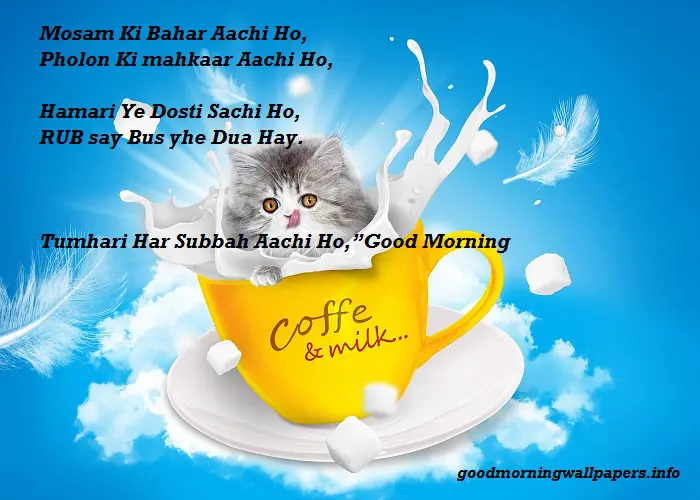 Good Morning Quotes in Urdu with Pictures