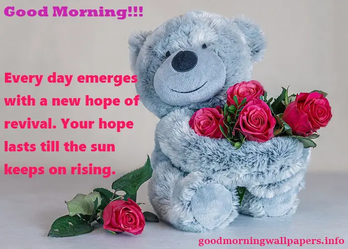 Good Morning Teddy Bear Images for Facebook