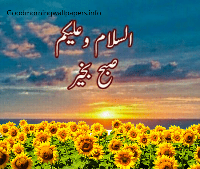 good-morning-dua-pics-in-urdu-sunday-morning-wishes