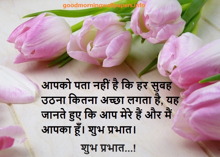 Good Morning Shayari in Hindi Images Download