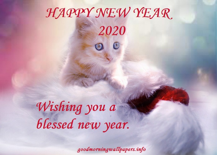 New Year Good Morning Images 2020 Beautiful Hd Collection