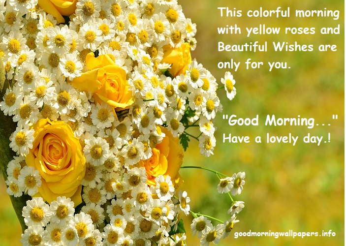 Good Morning Yellow Rose Images Download