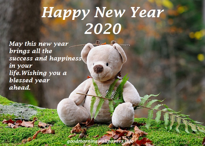 New Year Good Morning Images 2020 Beautiful Hd Collection