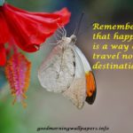 Good Morning Butterfly HD