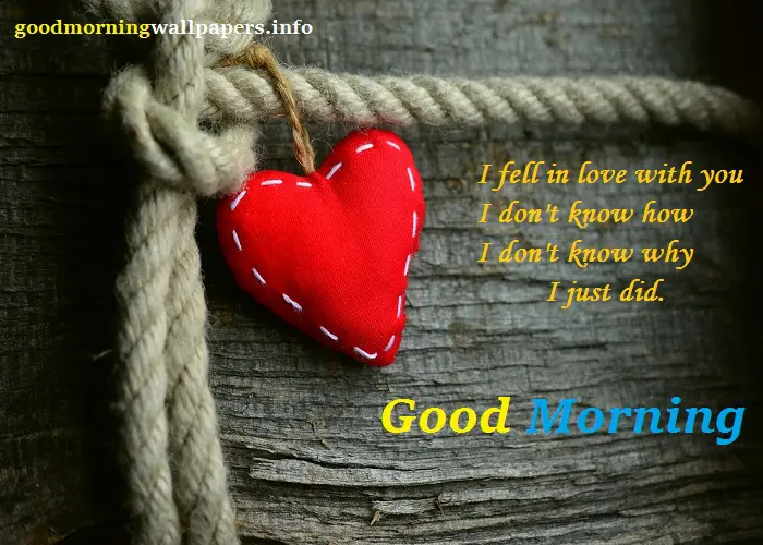 Morning Heart Image with Quotes