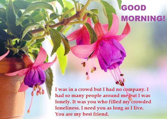 100-best-good-morning-message-for-friends-in-april-2024