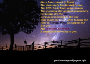 Good Morning Poem for Lover