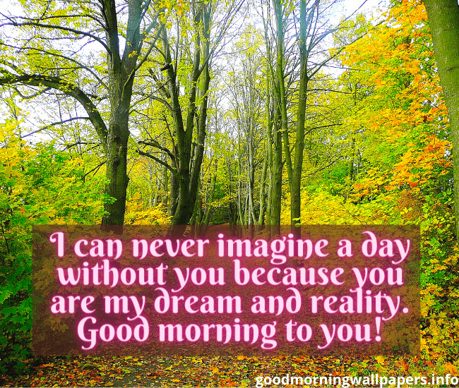 100-good-morning-wishes-quotes-for-someone-special