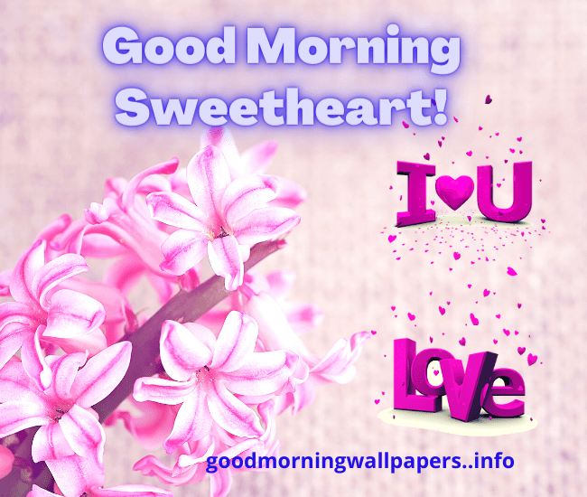 Good Morning Sweetheart Images Download