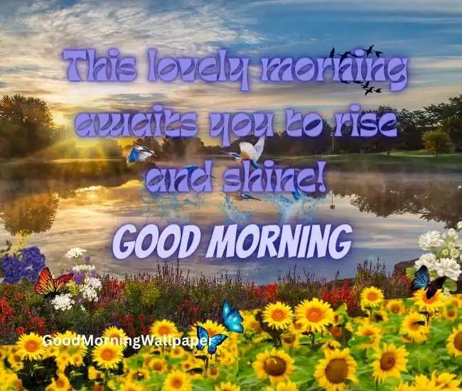 Best Morning Wishes