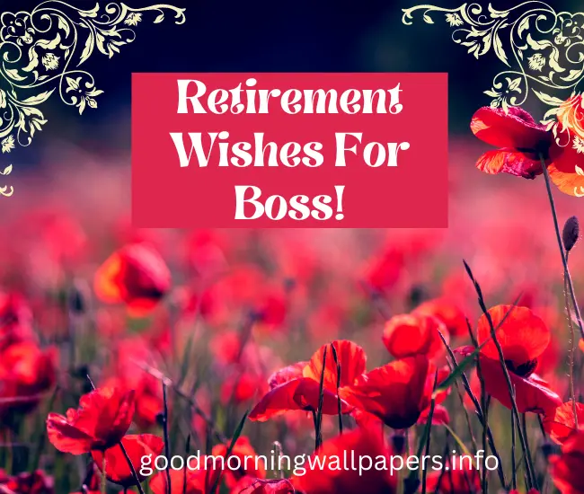 retirement-wishes-for-boss-2023