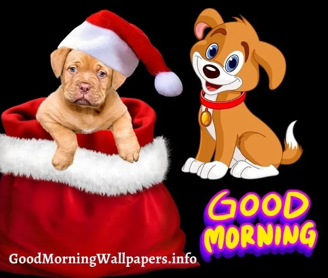 Good Morning Cute Puppy Images