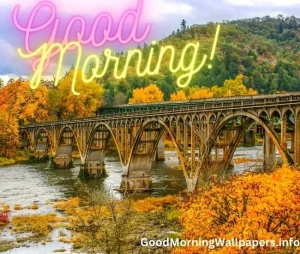Good Morning HD River Images