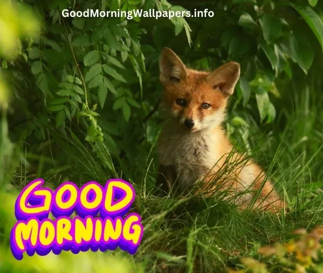 Good Morning Monday Puppy Images
