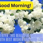 Good Morning Jasmine Flower Images HD {Jasmine Quotes Gifs 2023}