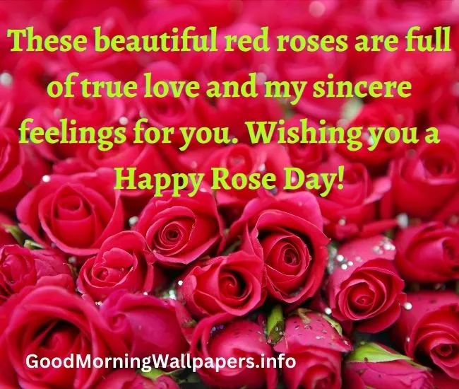 Happy Valentines Day Roses Image