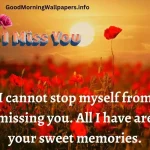 Good Morning I Miss You Quotes 2023 [HD Pictures]