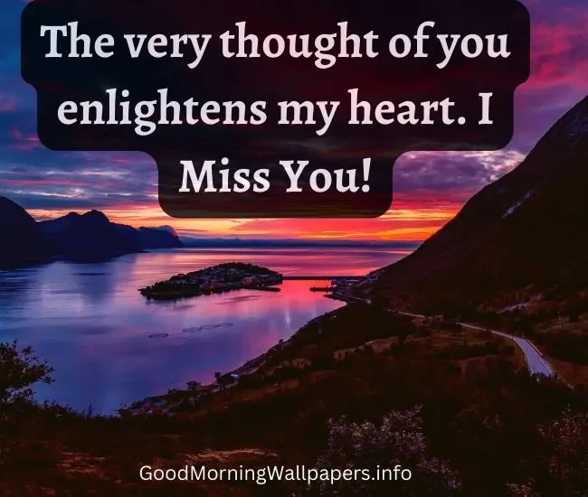 I Miss You Quotes For Him