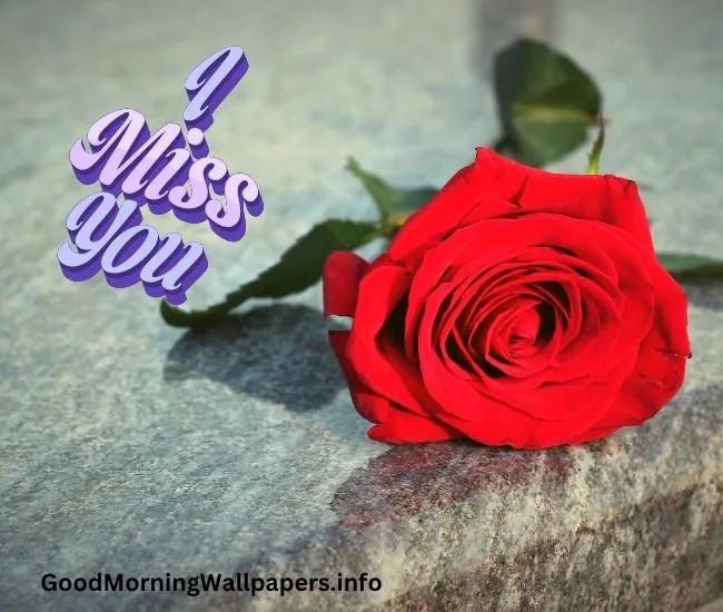 Good Morning I Miss You Quotes