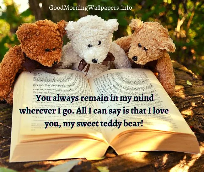 Happy Teddy Day HD Images